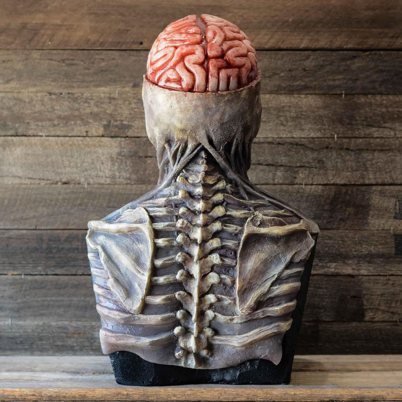 Máscara de Esqueleto de Cabeza Completa (No incluye sombrero)